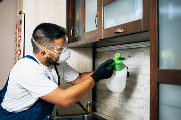 Trusted Upper Saddle River, NJ Pest Control Experts