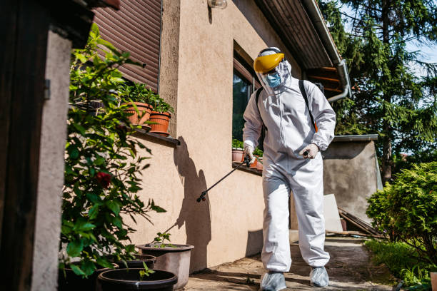 Best Local Pest Control Services  in Upper Saddle River, NJ