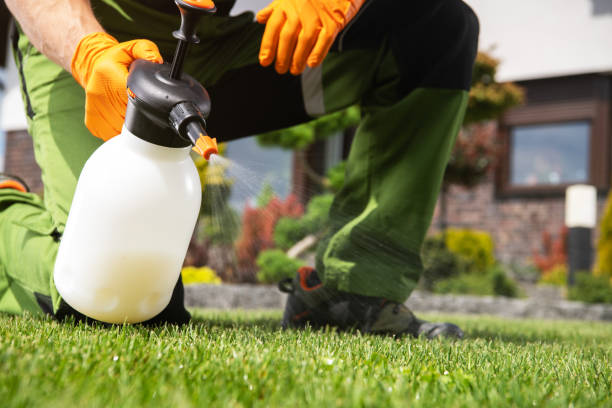 Best Spider Control Near Me  in Upper Saddle River, NJ