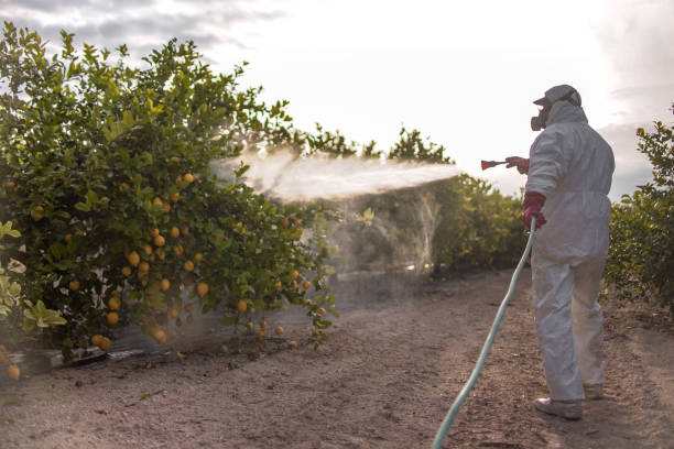 Best Bed Bug Extermination  in Upper Saddle River, NJ