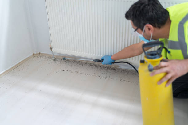 Best Termite Control Services  in Upper Saddle River, NJ